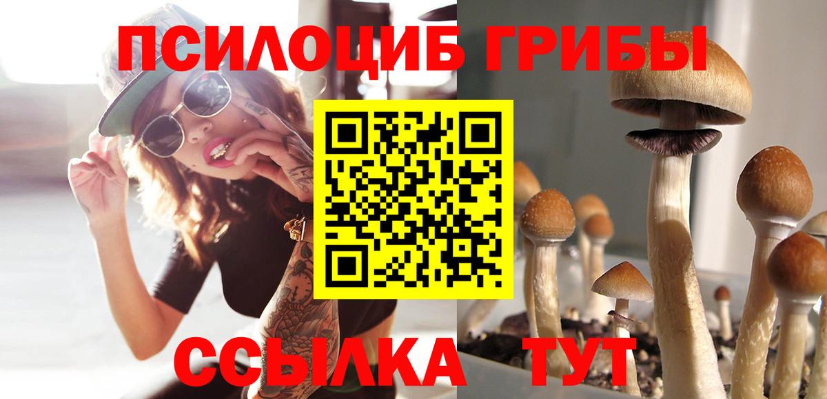 Псилоцибиновые грибы мицелий  закладки  Ульяновск  Вход с VPN 